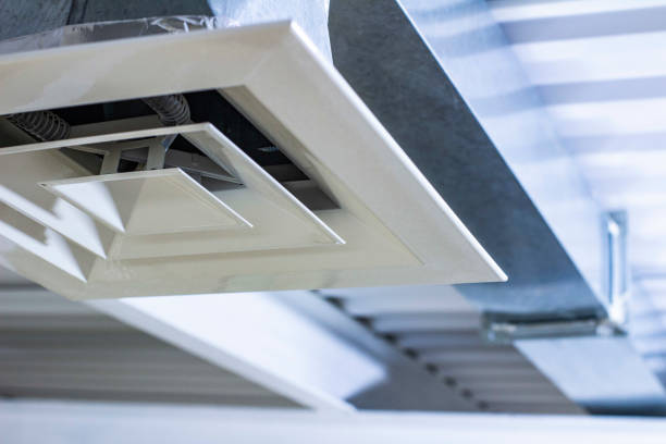 Best Air Duct Mold Removal  in Kiawah Island, SC